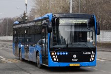 2374911.jpg