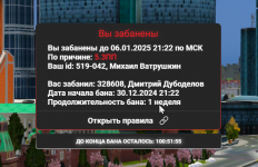 1735825292482