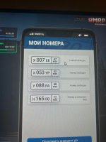 Изображение WhatsApp 2025-01-09 в 23.30.08_e23867e0.jpg