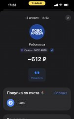 IMG_1966.jpeg