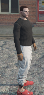 Grand Theft Auto V Screenshot 2025.06.18 - 13.56.14.04.png