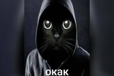 Okak pic4 zoom 1500x1500 80023