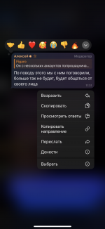 IMG_6357.png