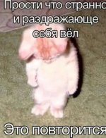 IMG 20250626 222422 441