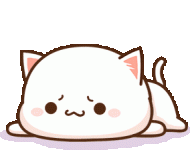 Peachcat cat