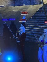 IMG_7900.jpeg