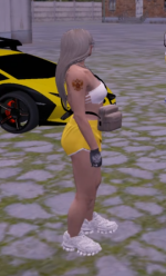333.png