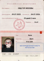 1754216788718.png