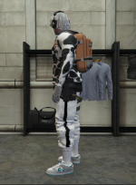 1755966492149.png