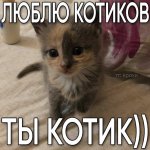 B04e567623fe930cc2626055e42df16c