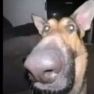Матвей