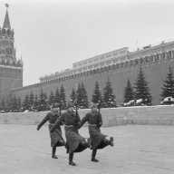 Владимир Холмогоров