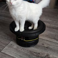 motoracerdirt