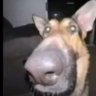 Матвей