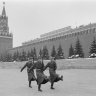 Владимир Холмогоров