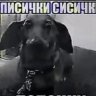 Арбуз Хабабов