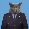 Кирилл Виноградов
