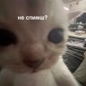 Тори Хантарез