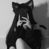 FoxyrAA