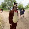 Новицкий Дмитрий