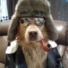 Ланс Медведев