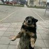 whixterexrwz