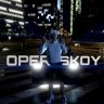 Владимир Оперской