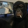 Adam174