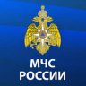мчсник