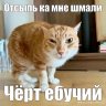 Антон Куваев