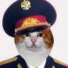 ilyamaksimov