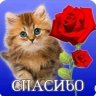 Никита Гусин