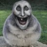 zohu