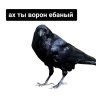 Гарик Плотный