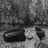 Вячеслав Добрынин