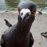 Виталий Измайлов
