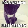 София Маркова