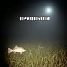 Радим Милизе