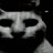 Филипп Перевалов